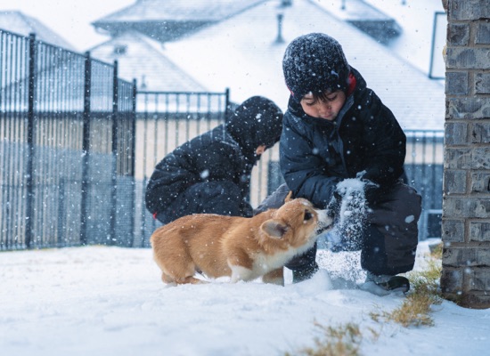Kids playing in the snow with Jasper